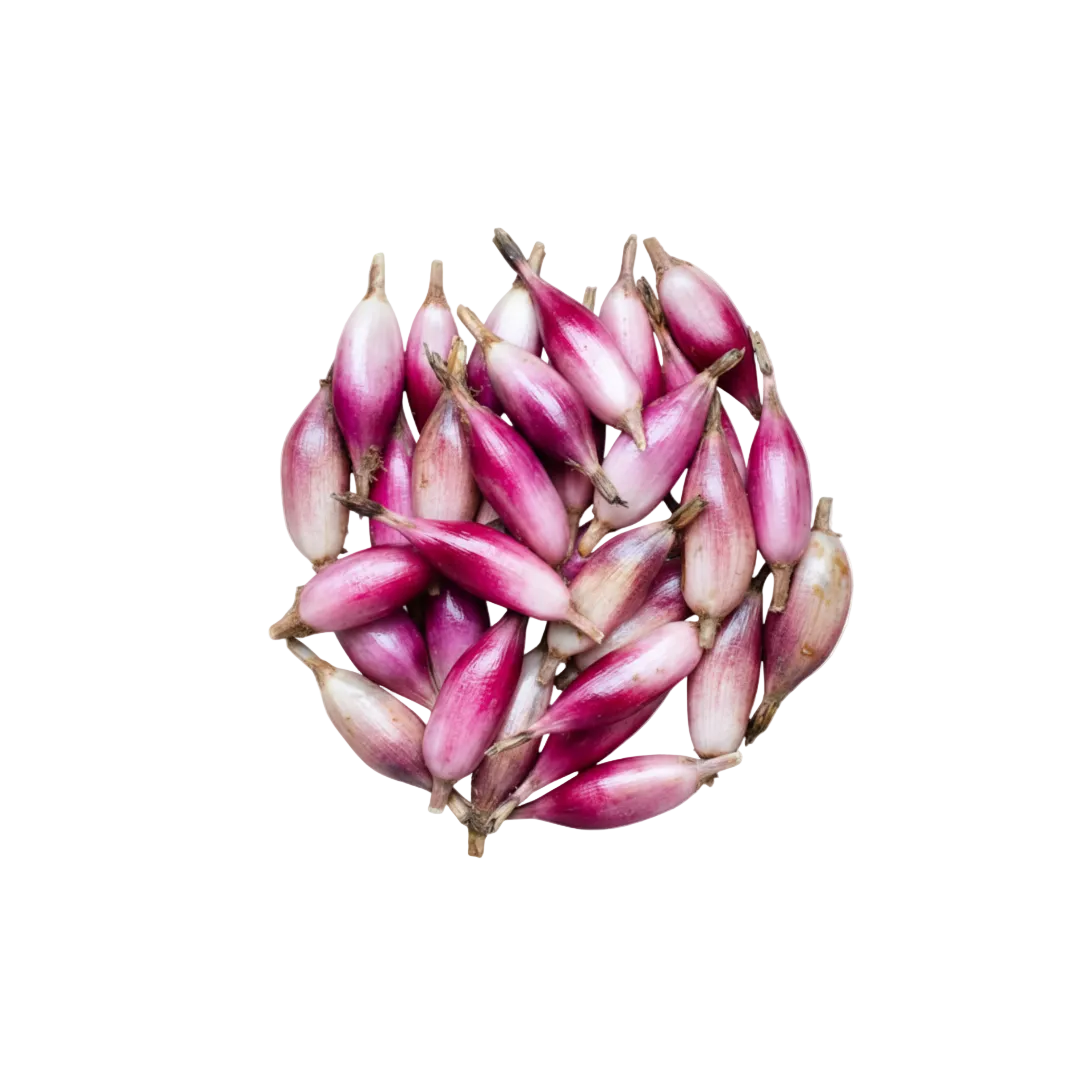 Piñuela Fresca Libra PRE-ORDEN