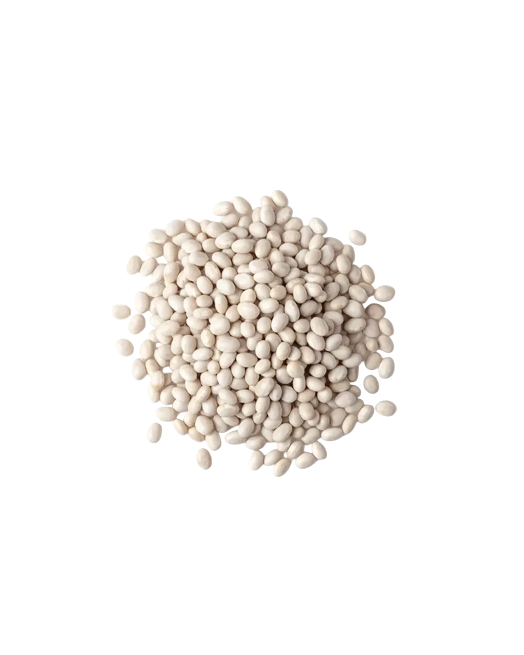 Frijoles Blancos 1 Libra Nueva cosecha PRE-ORDEN